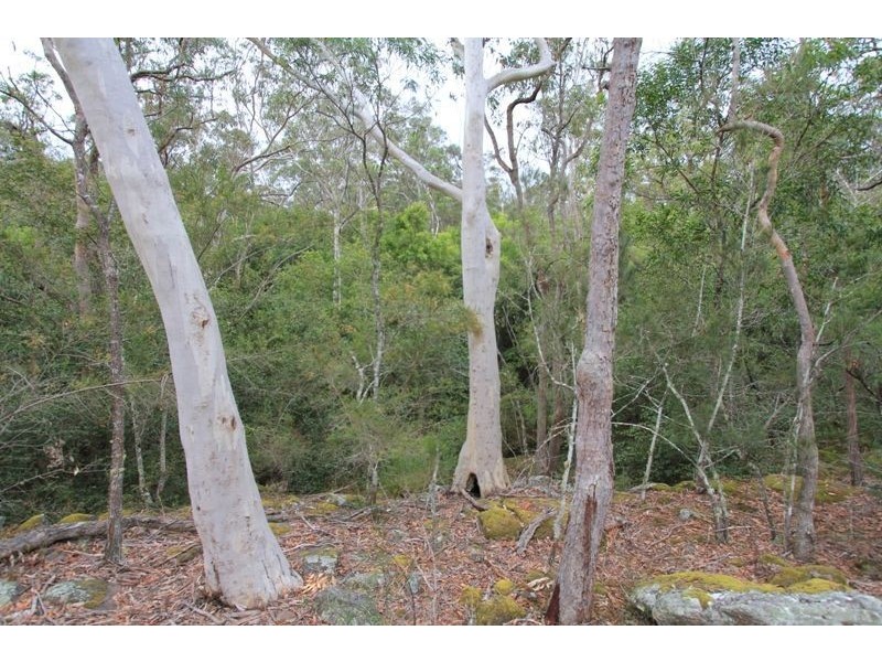 166a Bendeela Rd, Kangaroo Valley NSW 2577
