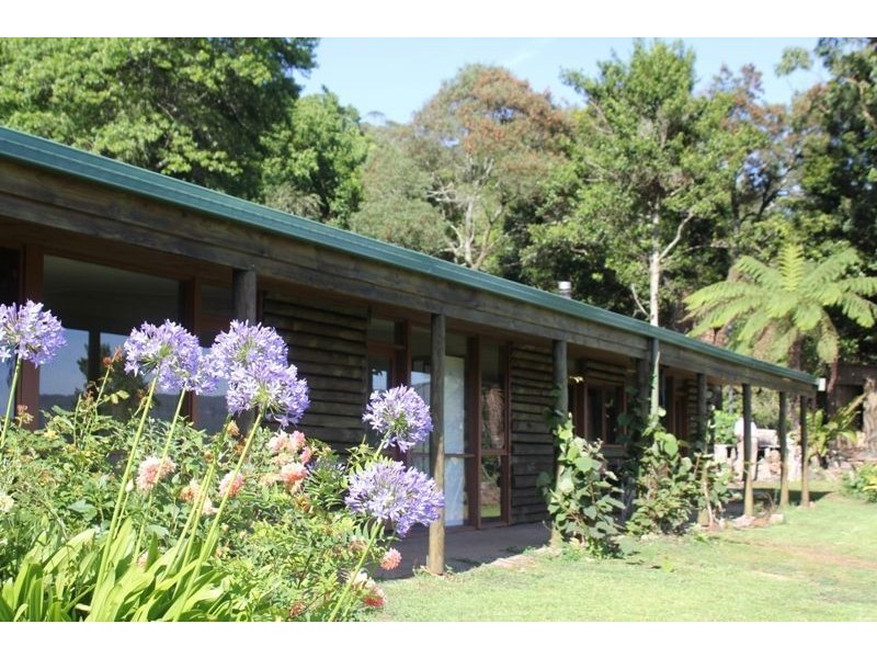 163A Wattamolla Road, Berry NSW 2535