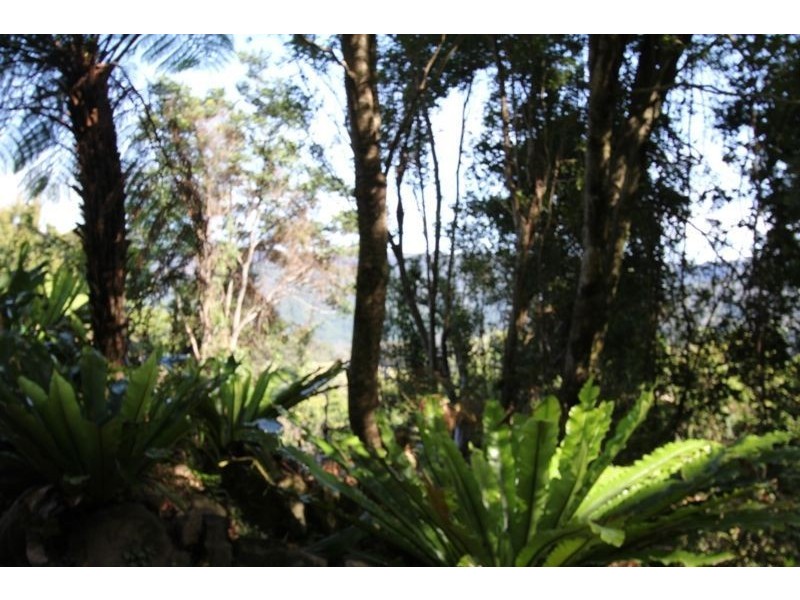 163A Wattamolla Road, Berry NSW 2535