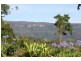 163A Wattamolla Road, Berry NSW 2535