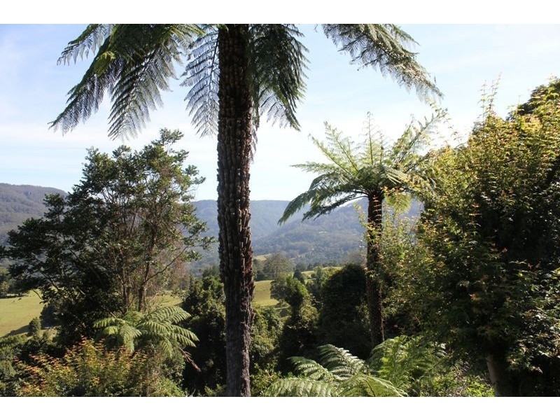 163A Wattamolla Road, Berry NSW 2535