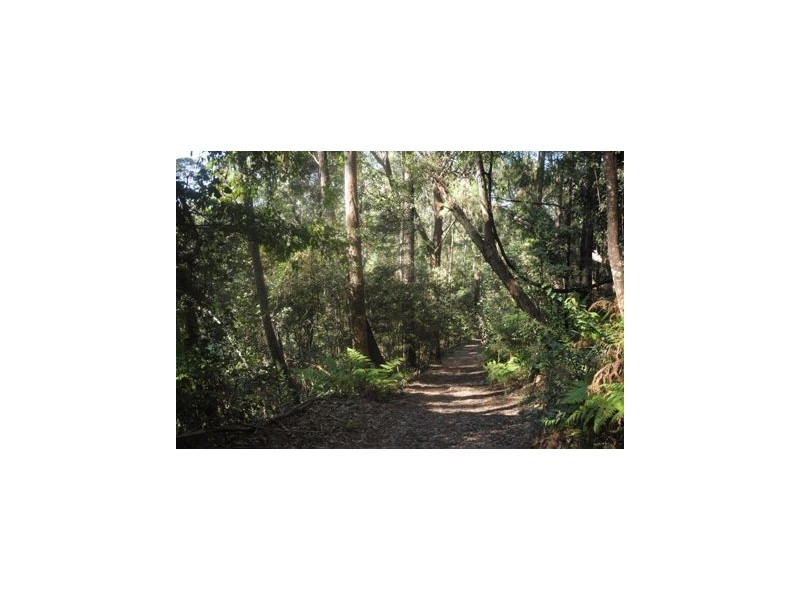 120 Parrishs Road, Kangaroo Valley NSW 2577