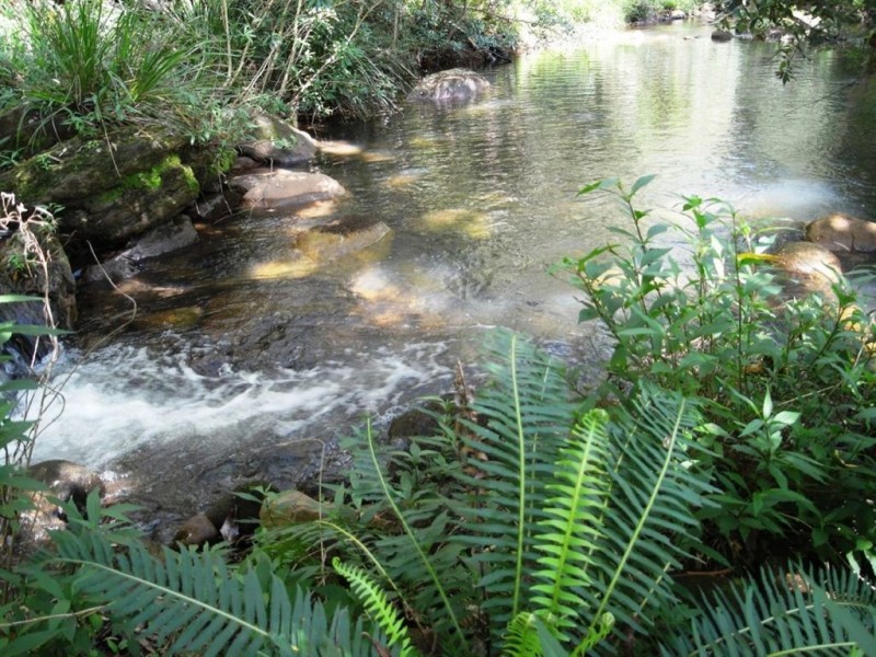 17 Bassett Lane, Kangaroo Valley NSW 2577