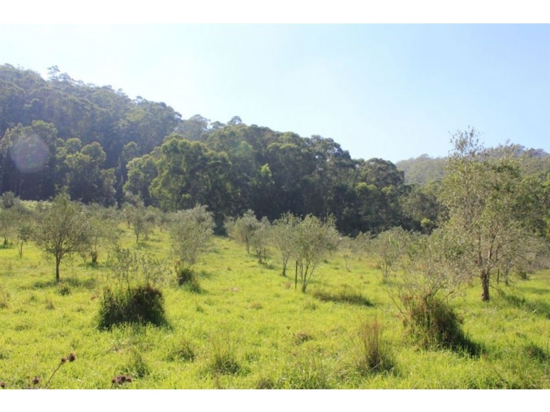 18 Bassett Lane, Kangaroo Valley NSW 2577