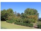 60 Borrowdale Close, Berry NSW 2535