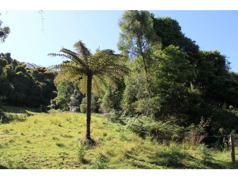 Lot 307 Carrington Road, Cambewarra NSW 2540