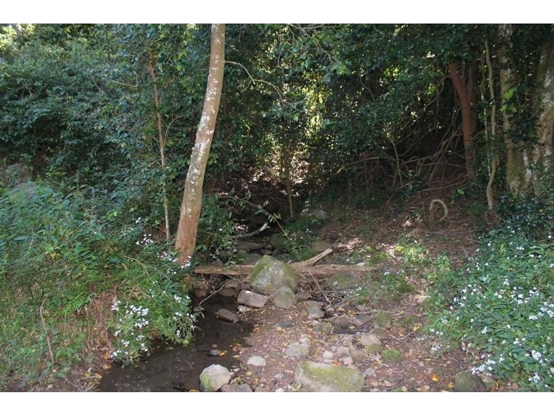 Lot 307 Carrington Road, Cambewarra NSW 2540