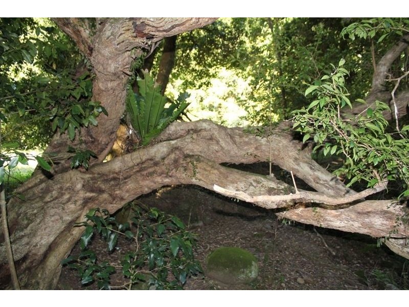 Lot 307 Carrington Road, Cambewarra NSW 2540