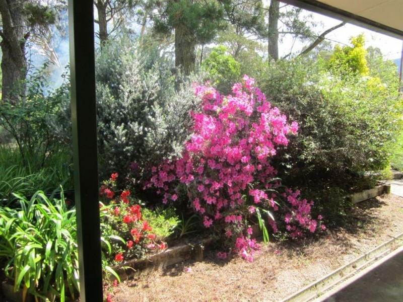 54 Jenanter Dr, Kangaroo Valley NSW 2577