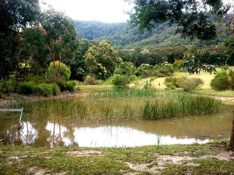 535b Jacks Corner Road, Kangaroo Valley NSW 2577