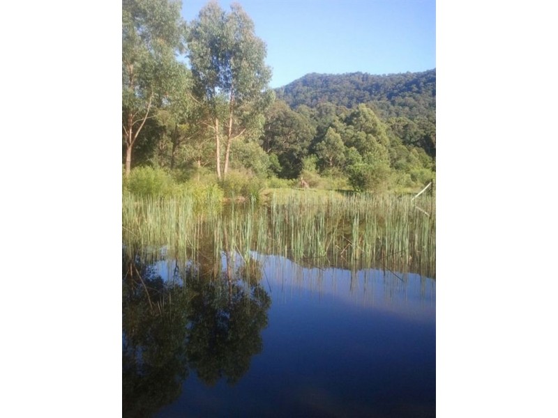 535b Jacks Corner Road, Kangaroo Valley NSW 2577