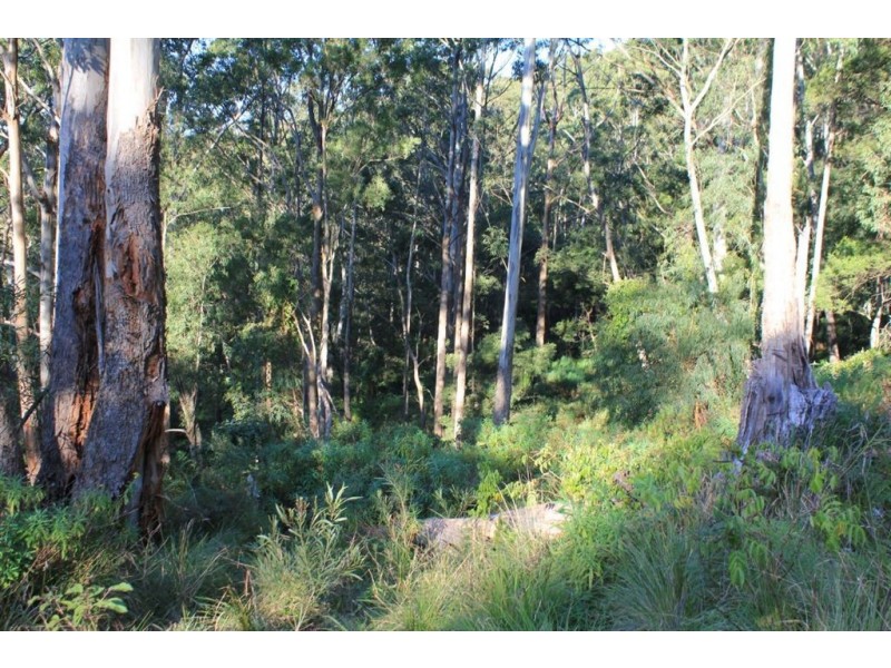 679b Mount Scanzi Road, Kangaroo Valley NSW 2577