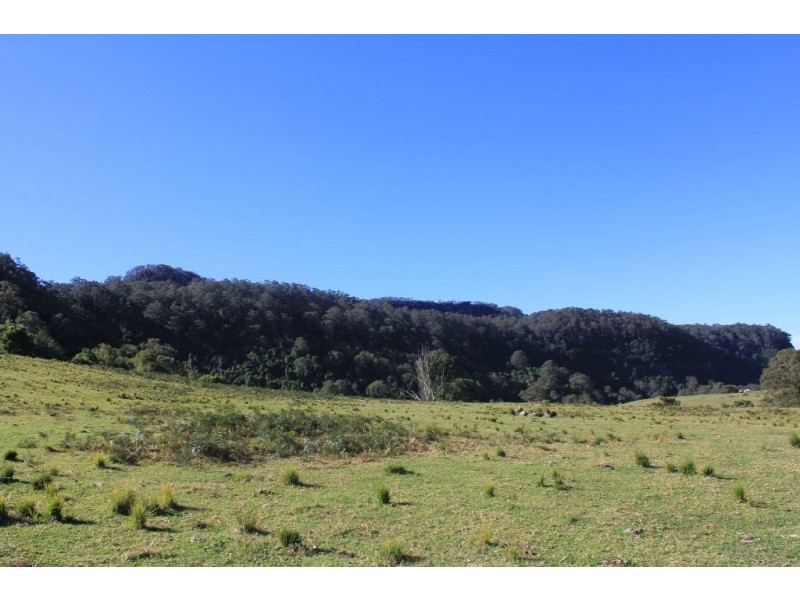 119E Mackays Road, Kangaroo Valley NSW 2577