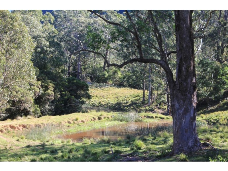 119E Mackays Road, Kangaroo Valley NSW 2577