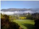 80 Treefern Road, Kangaroo Valley NSW 2577