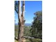 89B Carters Road, Kangaroo Valley NSW 2577