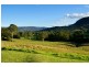 136 Bunkers Hill Road, Kangaroo Valley NSW 2577