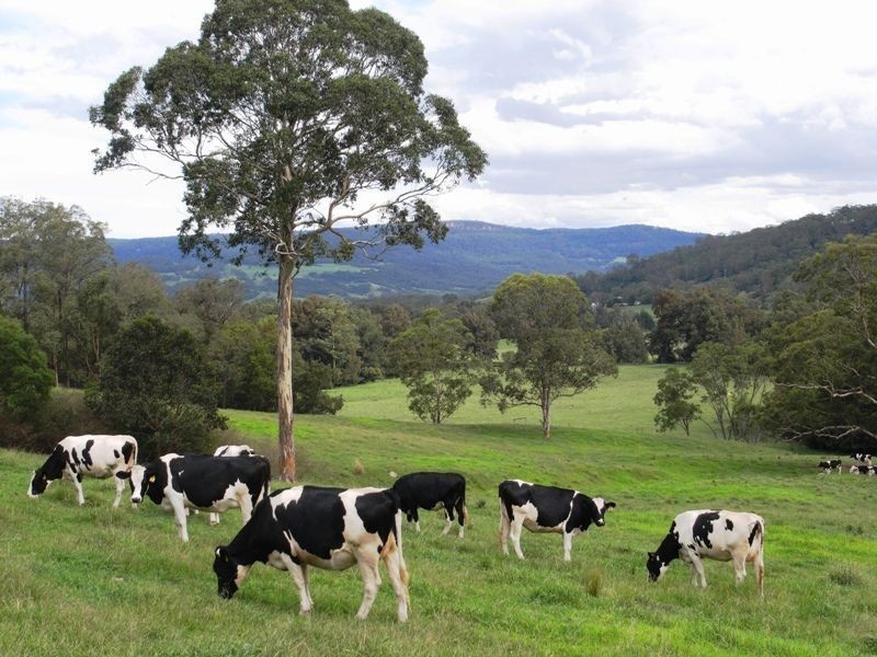 136 Bunkers Hill Road, Kangaroo Valley NSW 2577