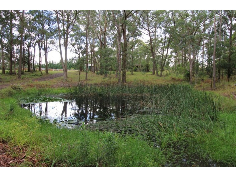 56 Wire Lane, Berry NSW 2535