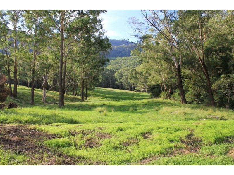 Lot 3 Cedar Springs Road, Kangaroo Valley NSW 2577