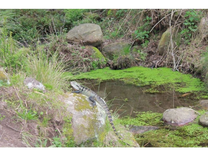 Lot 3 Cedar Springs Road, Kangaroo Valley NSW 2577