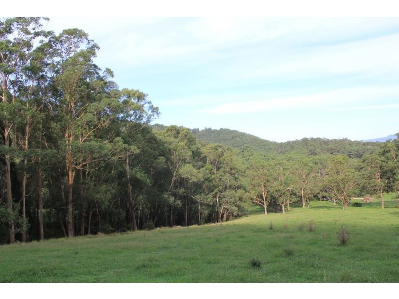 Lot 3 Cedar Springs Road, Kangaroo Valley NSW 2577