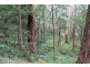 Lot 3 Cedar Springs Road, Kangaroo Valley NSW 2577