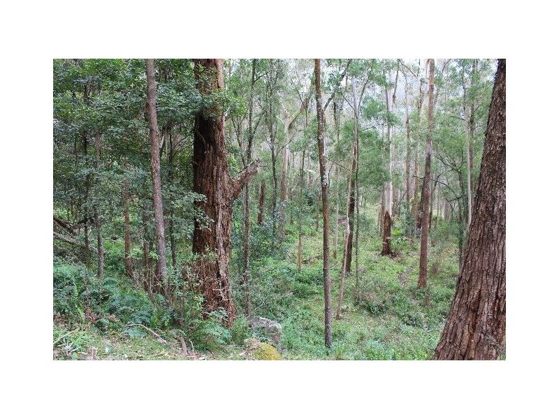 Lot 3 Cedar Springs Road, Kangaroo Valley NSW 2577