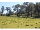 374 Bugong Fire Trail, Kangaroo Valley NSW 2577