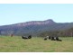 2286D Moss Vale Road, Kangaroo Valley NSW 2577