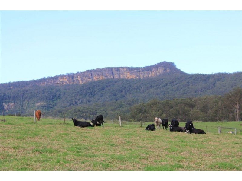 2286D Moss Vale Road, Kangaroo Valley NSW 2577