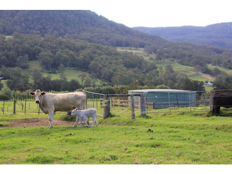 2286D Moss Vale Road, Kangaroo Valley NSW 2577