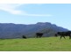 2286D Moss Vale Road, Kangaroo Valley NSW 2577