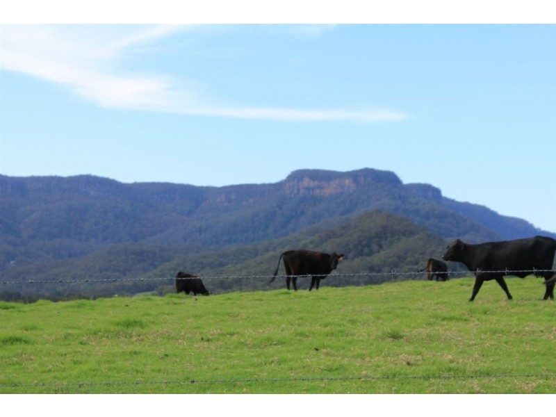 2286D Moss Vale Road, Kangaroo Valley NSW 2577