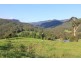 977C Upper Kangaroo River Road, Kangaroo Valley NSW 2577