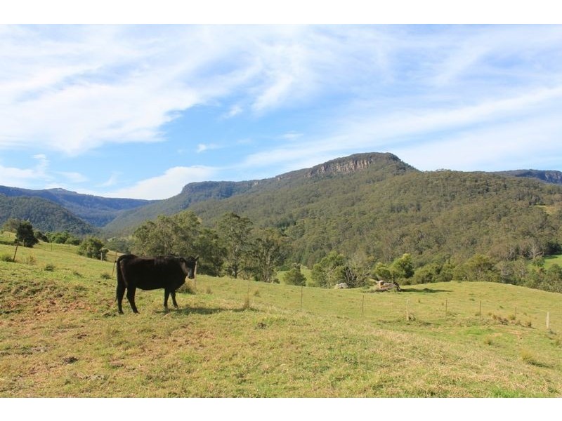 977C Upper Kangaroo River Road, Kangaroo Valley NSW 2577