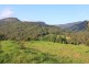 977C Upper Kangaroo River Road, Kangaroo Valley NSW 2577