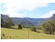 977C Upper Kangaroo River Road, Kangaroo Valley NSW 2577