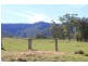 977C Upper Kangaroo River Road, Kangaroo Valley NSW 2577