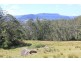 100 Nugents Creek Road, Kangaroo Valley NSW 2577