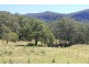 100 Nugents Creek Road, Kangaroo Valley NSW 2577