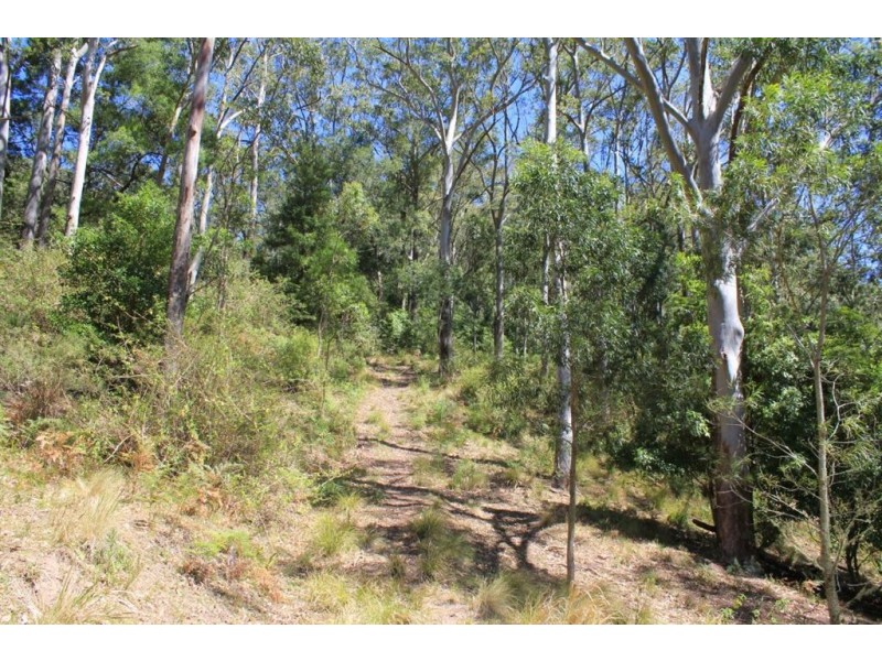 100 Nugents Creek Road, Kangaroo Valley NSW 2577