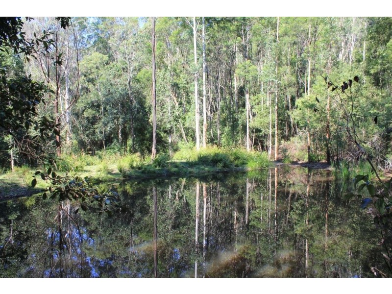 603 Tallowa Dam Road, Kangaroo Valley NSW 2577