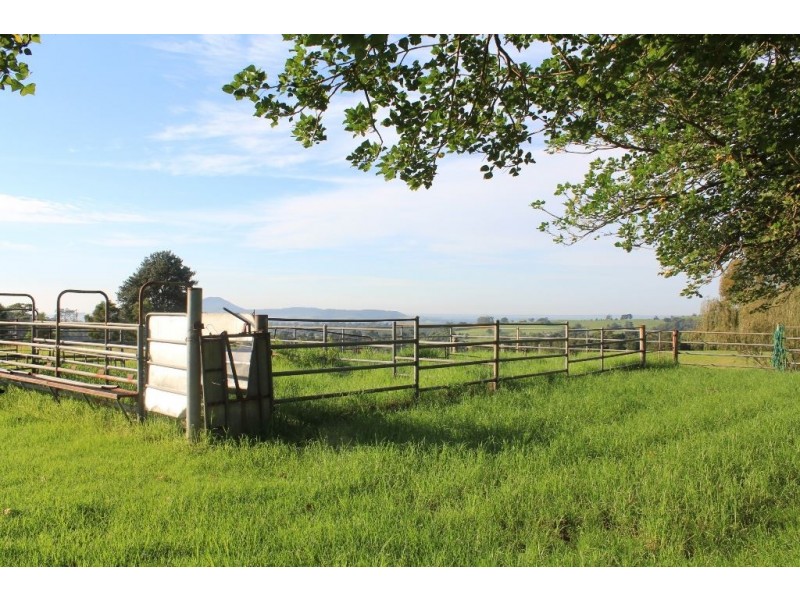 246b Martinvale Lane, Jaspers Brush NSW 2535