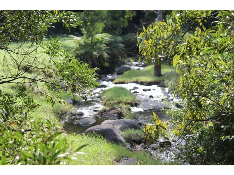 246b Martinvale Lane, Jaspers Brush NSW 2535