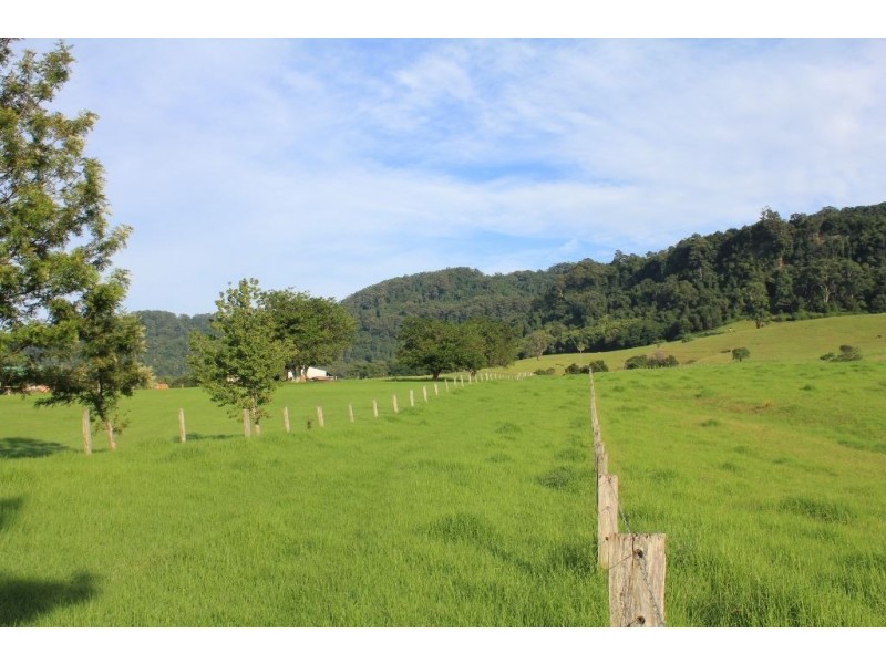 246b Martinvale Lane, Jaspers Brush NSW 2535