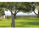 246b Martinvale Lane, Jaspers Brush NSW 2535