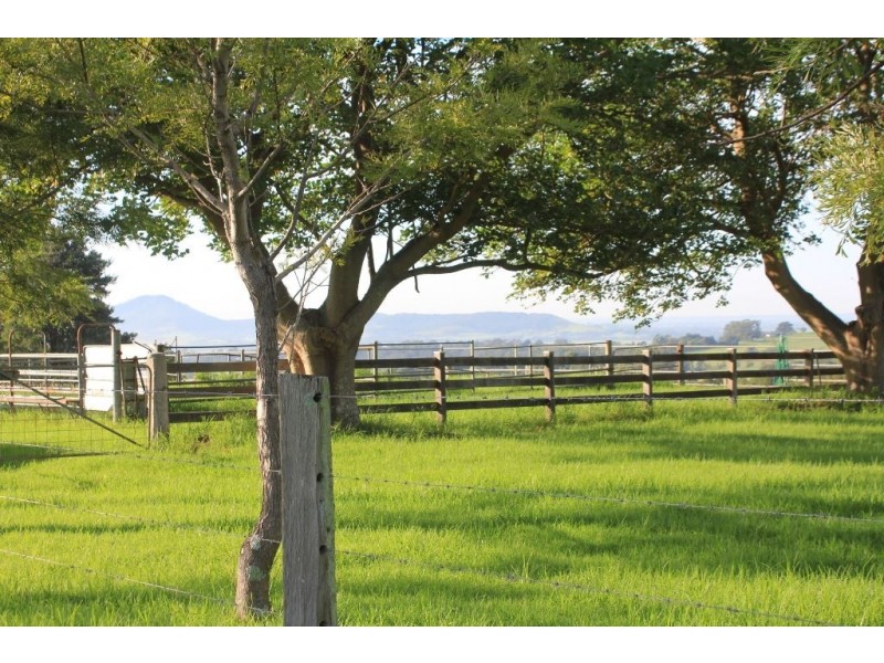 246b Martinvale Lane, Jaspers Brush NSW 2535