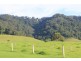 246b Martinvale Lane, Jaspers Brush NSW 2535