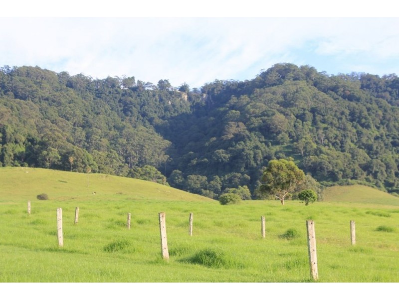 246b Martinvale Lane, Jaspers Brush NSW 2535